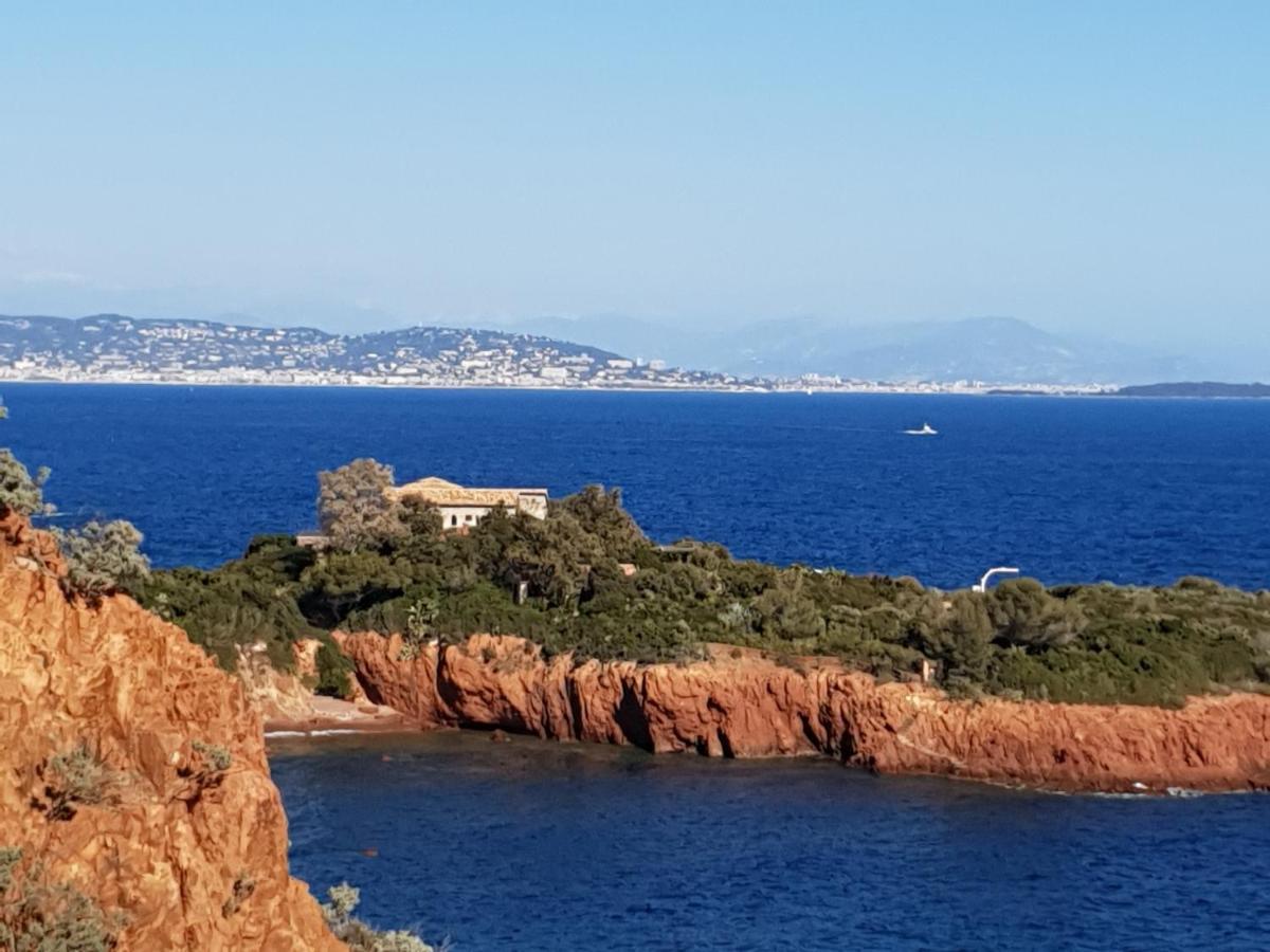 Frejus Plage T2, Piscine, Parking, Plages A 200M Ngoại thất bức ảnh