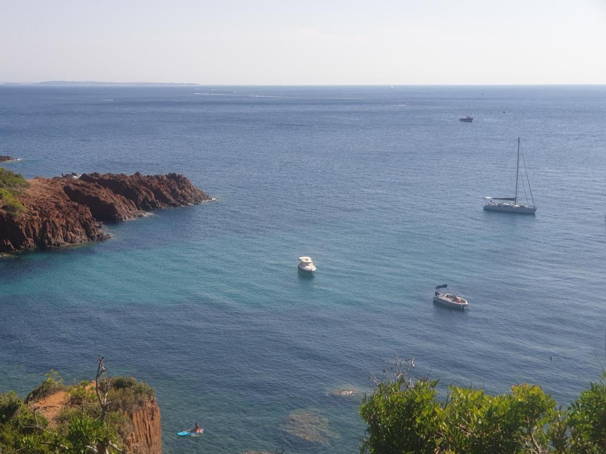 Frejus Plage T2, Piscine, Parking, Plages A 200M Ngoại thất bức ảnh